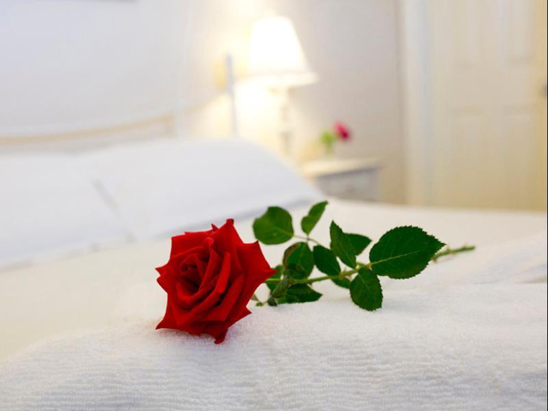 Newcastle'S Bed & Breakfast Екстер'єр фото